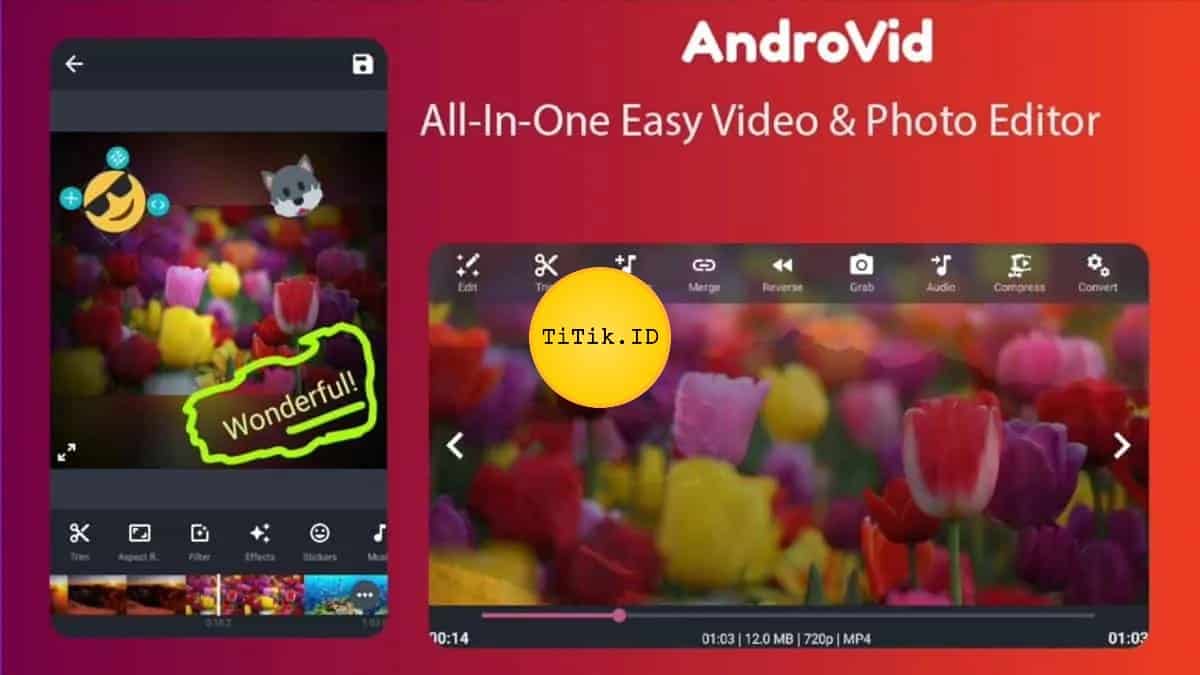 AndroVid