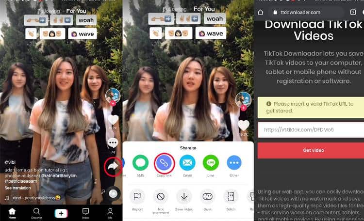 Download Video TikTok melalui Link