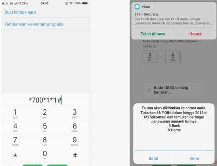 Cek Poin Melalui Dial-up *700#