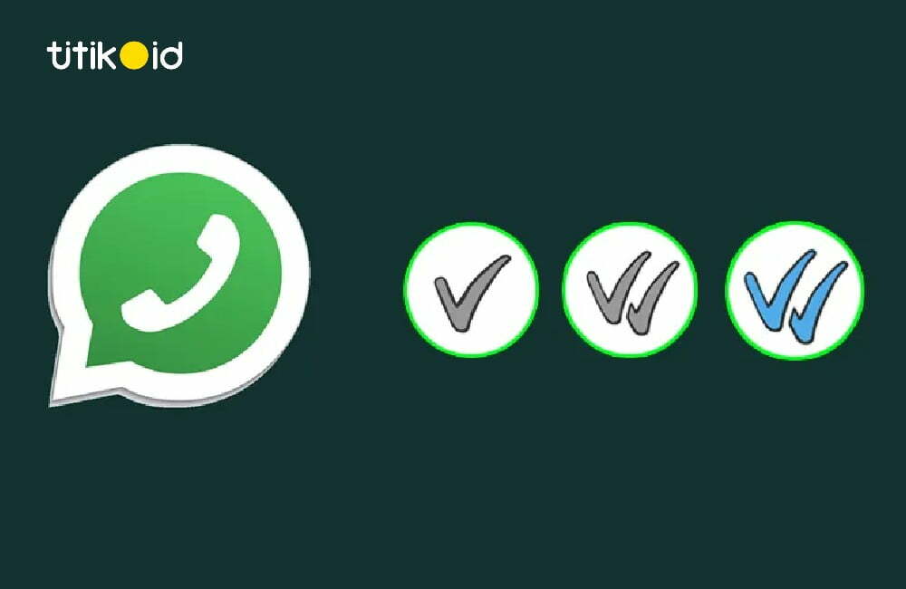 Arti Centang di WhatsApp