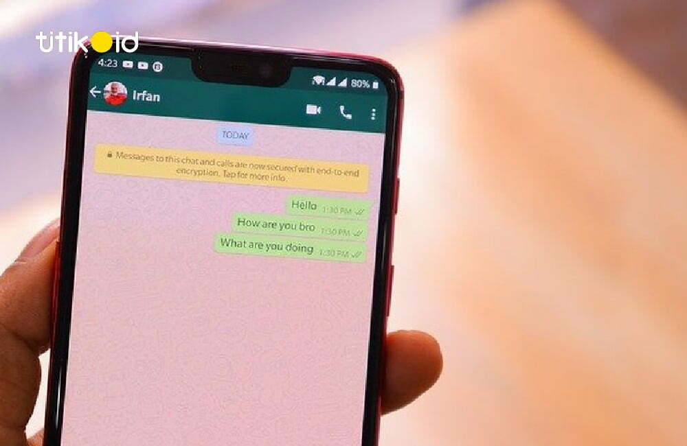 Cara Menghilangkan Centang Biru WhatsApp