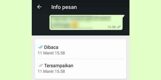 Melihat Kapan Pesan WA Dibaca