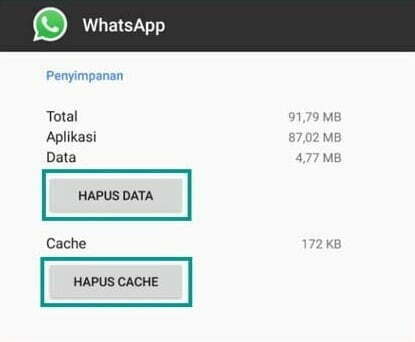 Bersihkan Data WhatsApp